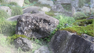中央に位置する亀の形をした亀島の頭の部分には、実に亀の頭にそっくりな石が置かれています。